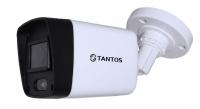 Tantos TSi-P2F 2 мегапиксельная IP камера уличная