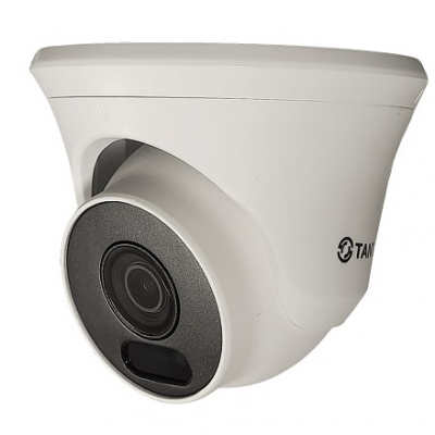 Tsi-Ee25FPN IP Купольная камера
