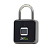 Padlock Биометрический замок ZKTeco