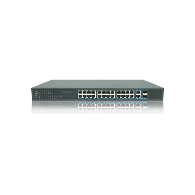 AT-NS-24GP2G-2GS-450 (B)