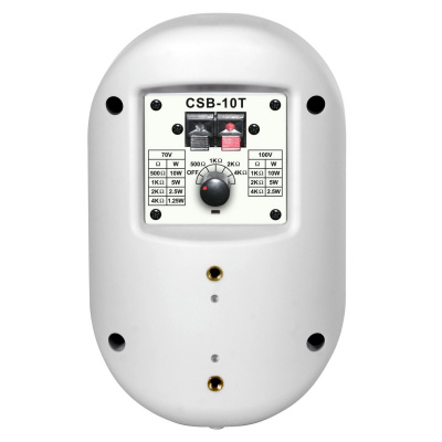 SHOW CSB10T/WH - Громкоговоритель настенный